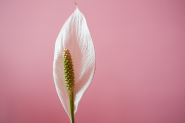 Similar image 2827445