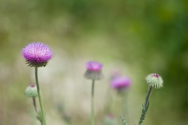 Similar image 2827446