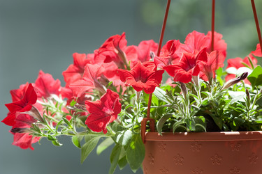 Similar image 2827449