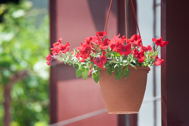 Similar image 2827453