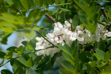 Similar image 2827454