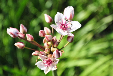 Similar image 2827529