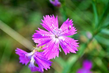 Similar image 2827530