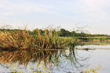 Similar image 2827531