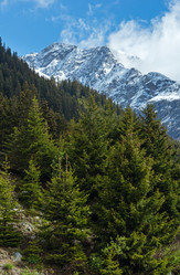 Similar image 2827602