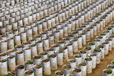 Similar image 2827814