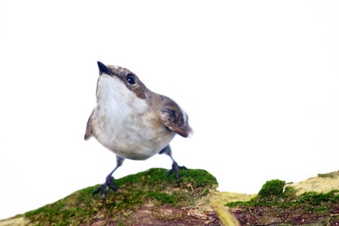 Similar image 2827847