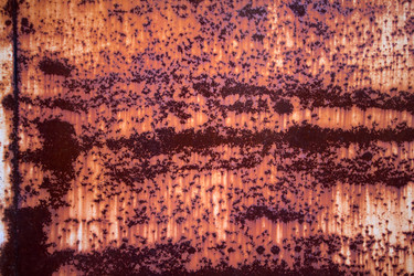 Similar image 2827879