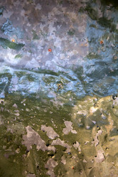 Similar image 2827880