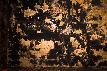 Similar image 2827882