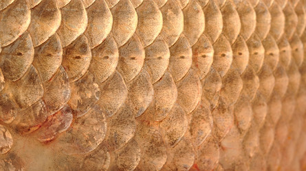 Similar image 2827918