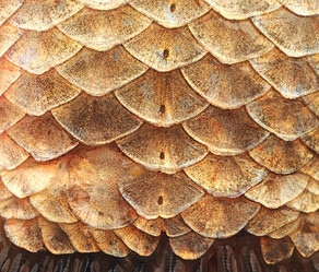 Similar image 2827925