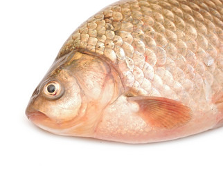 Similar image 2827939