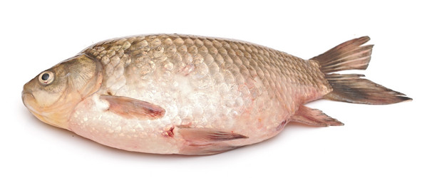 Similar image 2827949