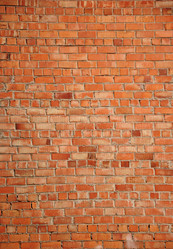 Similar image 2828002