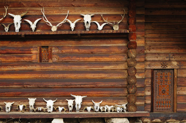 Similar image 2828039