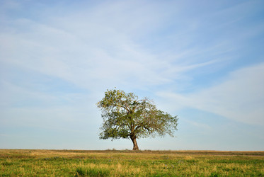 Similar image 2828125