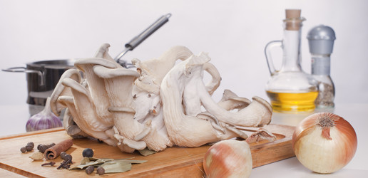 Similar image 2828127