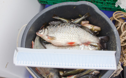 Similar image 2828249