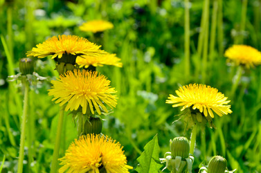 Similar image 2828454