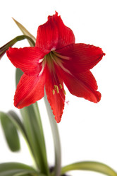 Similar image 2828566