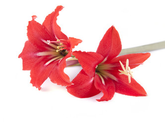 Similar image 2828567