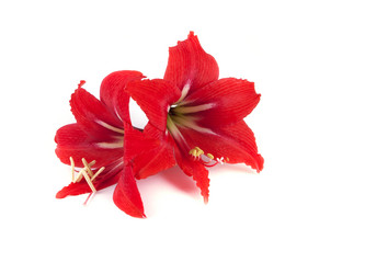 Similar image 2828569