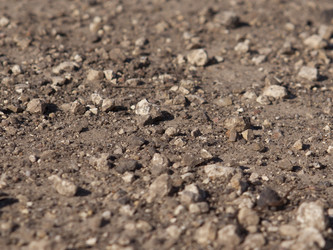 Similar image 2828570