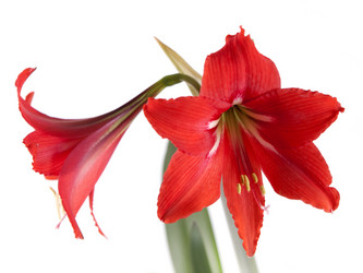 Similar image 2828586