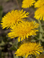 Similar image 2828588