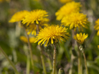 Similar image 2828589