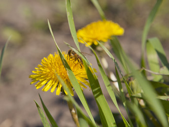 Similar image 2828590