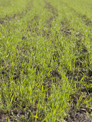 Similar image 2828592