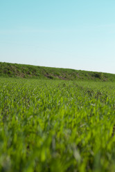 Similar image 2828593