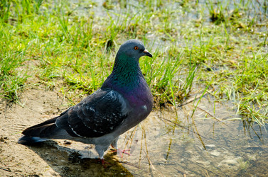 Similar image 2828606