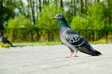 Similar image 2828608