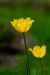 Similar image 2828625