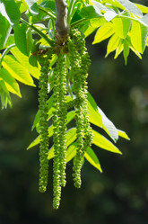 Similar image 2828626