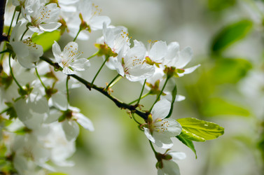 Similar image 2828627