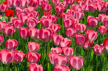 Similar image 2828628