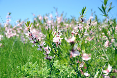 Similar image 2828631