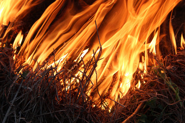 Similar image 2828726