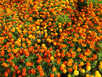 Similar image 2828729