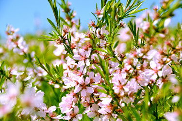 Similar image 2828734