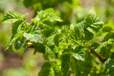 Similar image 2828747