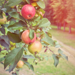 Similar image 2828776