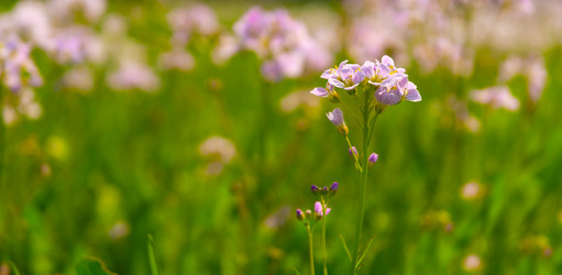 Similar image 2828786