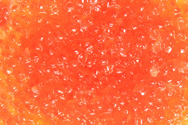 Similar image 2828804