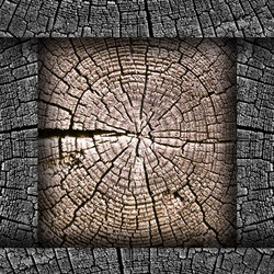 Similar image 2829145