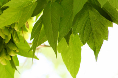 Similar image 2829222